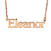 Rose Tanner Name Necklace Personalized Jewelry