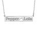 Silver POSH Paw Bar Necklace