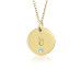 posh lowercase Vermeil Initial Birthstone Disc Necklace Personalized Jewelry