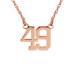 Number Necklace