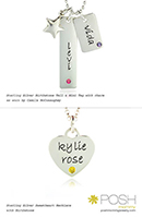 POSH tags combo